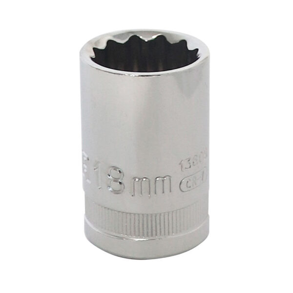 1/2"  12 PT COPA  13/16"
